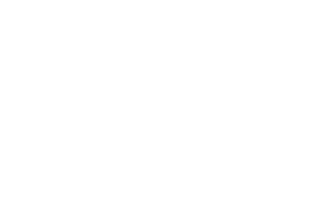 الشبكة للتوصيل السريع