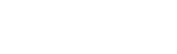 سالك Salik