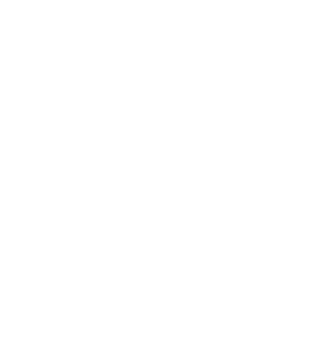 شعار شركة السالم
